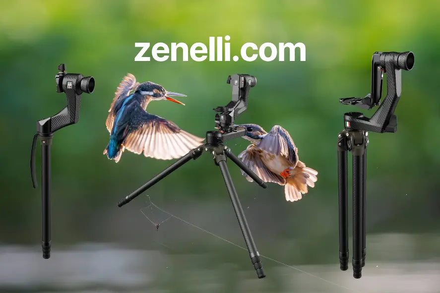 zenelli.com