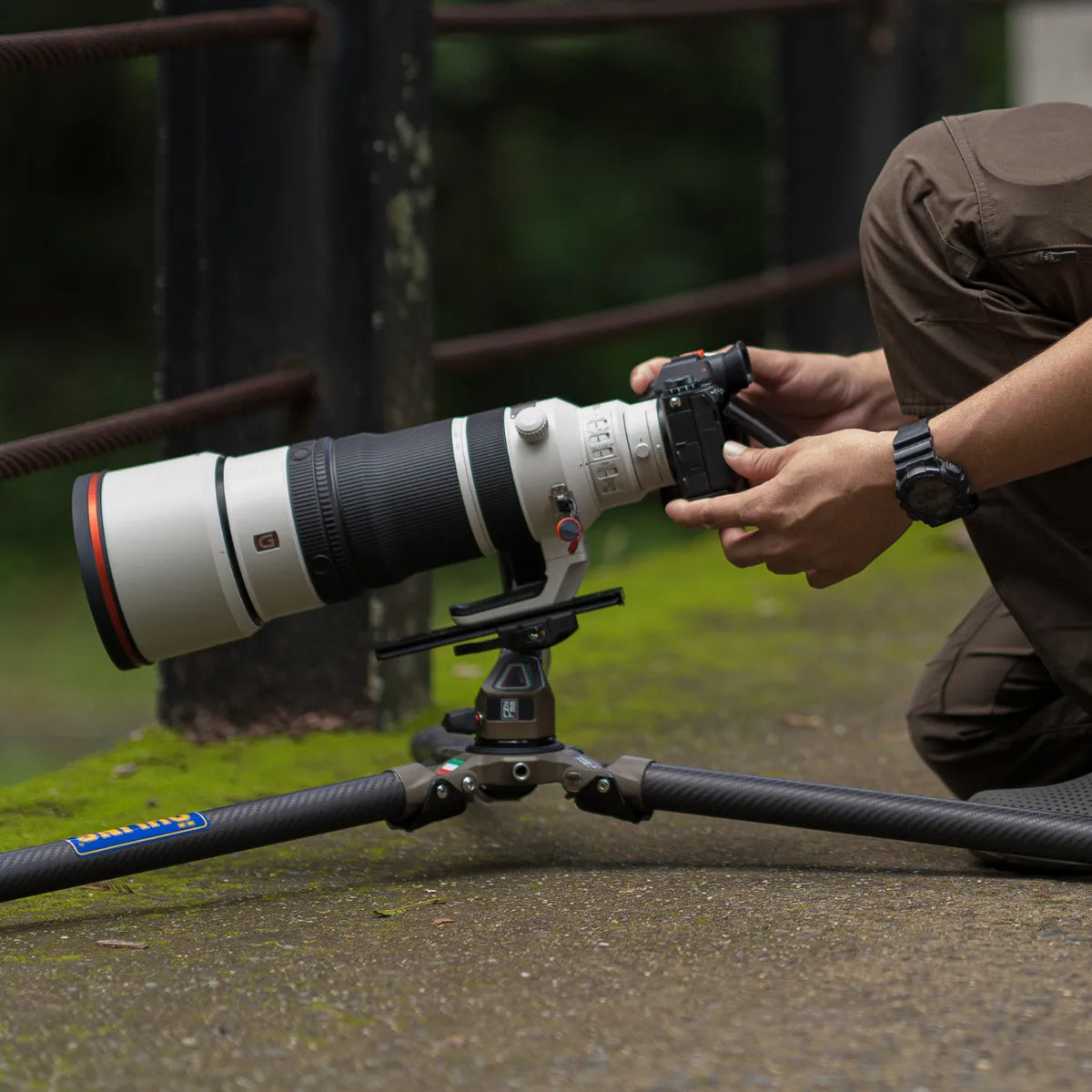 high performance photography equipment for telephoto lenses and wildlife shooting
