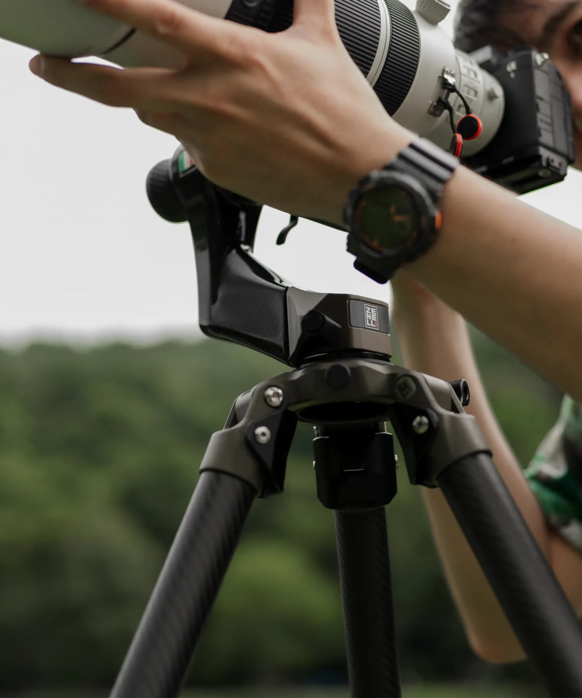 Zenelli carbon fiber camera tripod for stable wildlife and telephoto photography