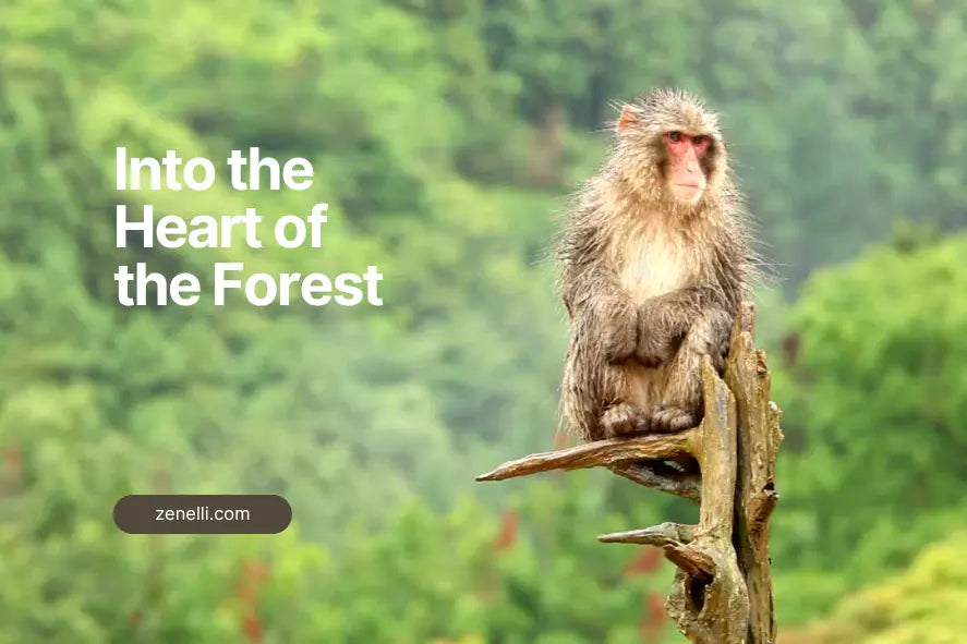 Into the Heart of the Forest