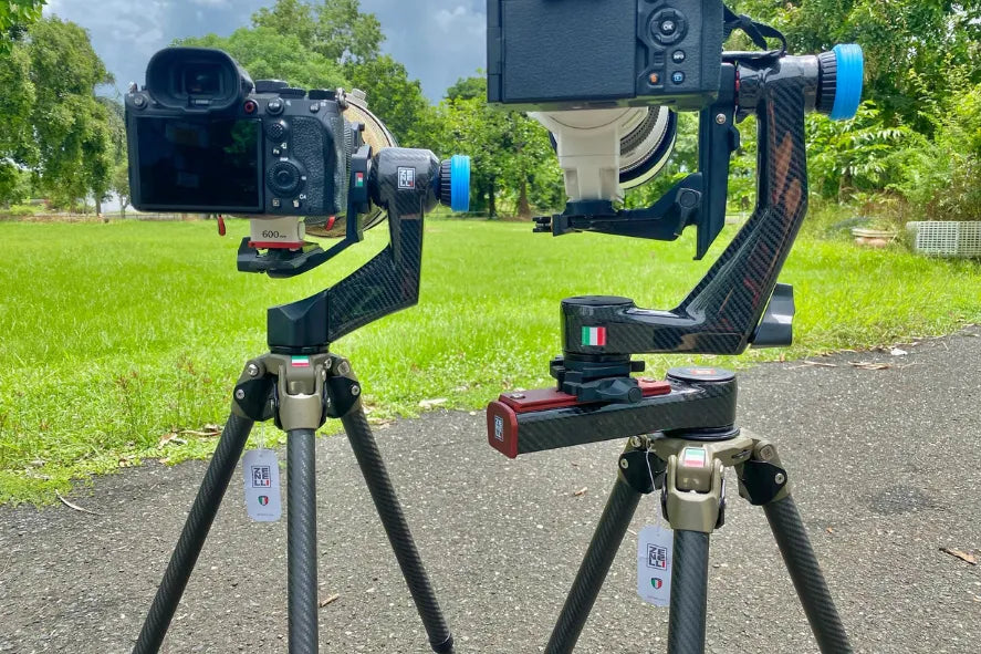 Zenelli Is Not for Everyone