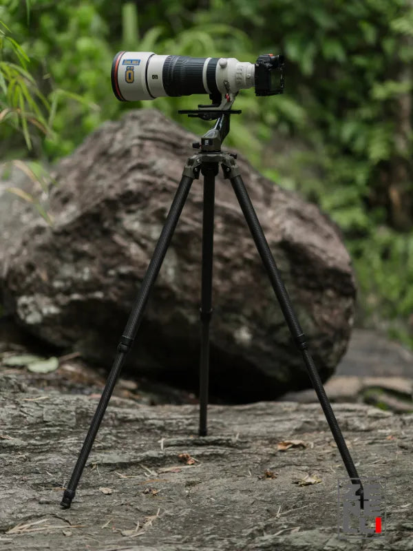 Zenelli TX carbon fiber tripod with ZC gimbal head for wildlife photography.