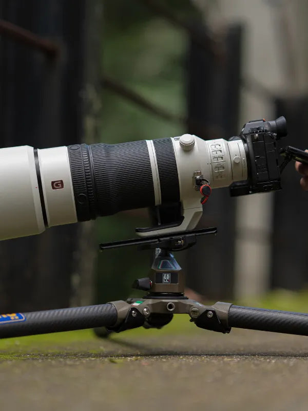 Zenelli tripod and ZC gimbal head provide a stable setup for outdoor photography.