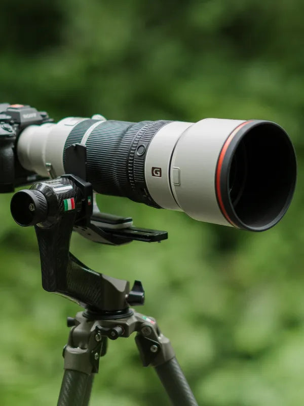 Zenelli TX tripod and compact ZC gimbal head set up for bird photography.