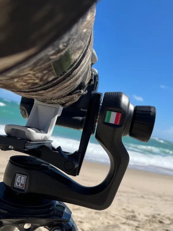 zv gimbal head mounted on tripod for wildlife and video shooting setup