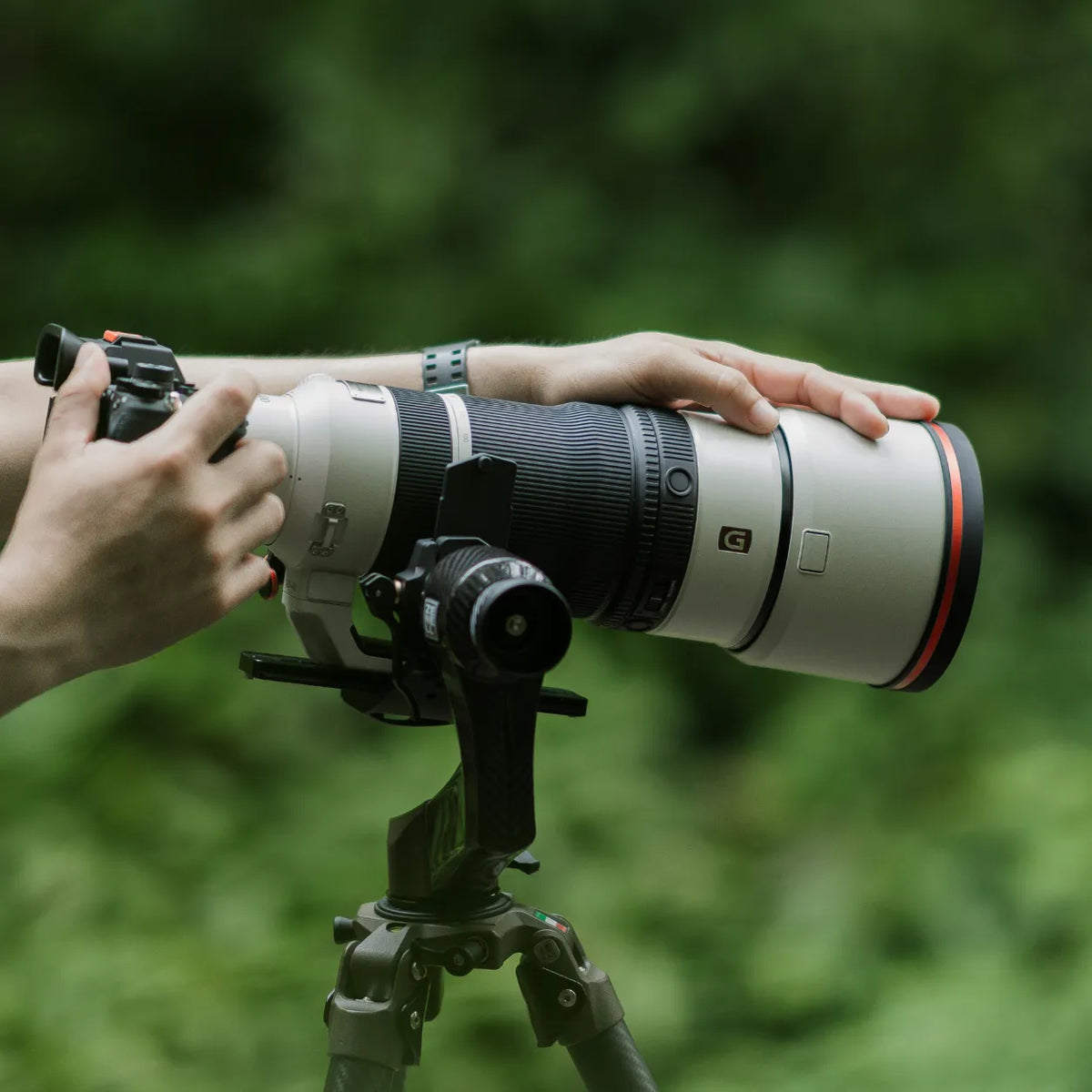 zenelli tripod and gimbal system for stable telephoto photography setup