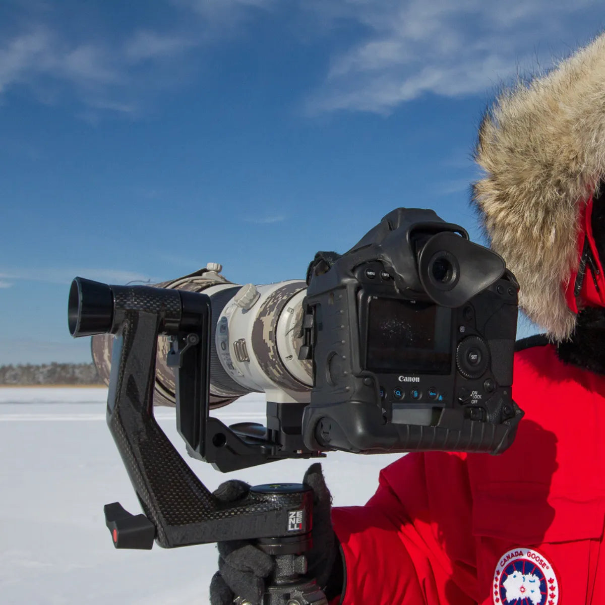 zenelli carbon camera support system for telephoto and wildlife photography