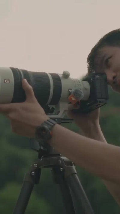 Zenelli carbon fiber gimbal heads and tripods for professional wildlife photography.