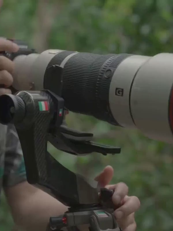 Zenelli TX carbon fiber tripod paired with the compact ZC gimbal head for wildlife and bird photography