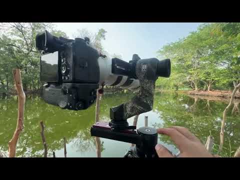 Camera mounted on a Zenelli tripod during a photo shoot
